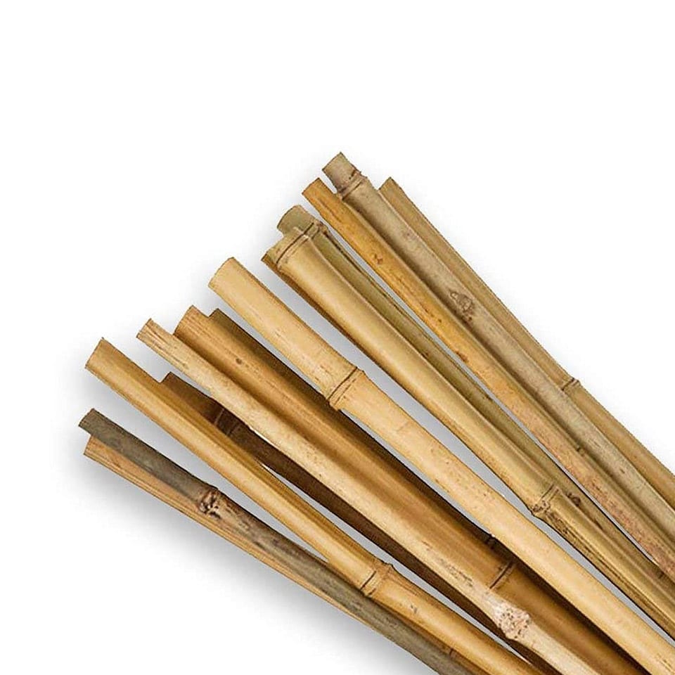 Buy Bamboo Stakes Online - Southern Woods