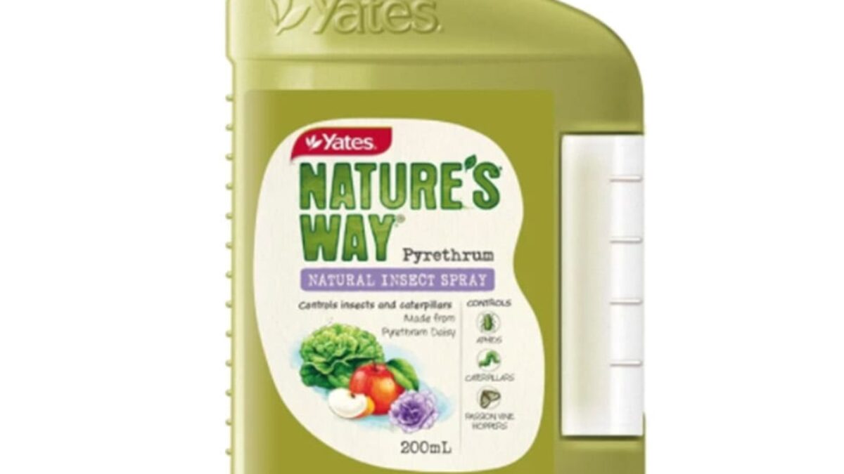 Sharp Insecticide Pyrethrum Insecticide Spray Sharp Shooter Pyrethrum Insect Spray
