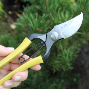 Niwaki Higurashi GR Secateurs